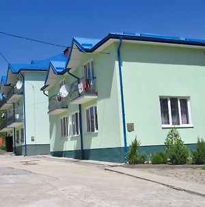 Villa Na Girskius Skhidnytsia Exterior photo