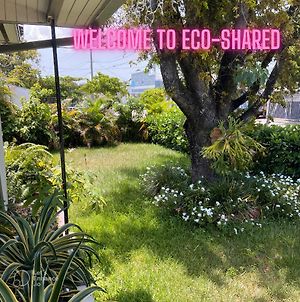 Хостел Eco-Shared Gardenian Маямі Exterior photo