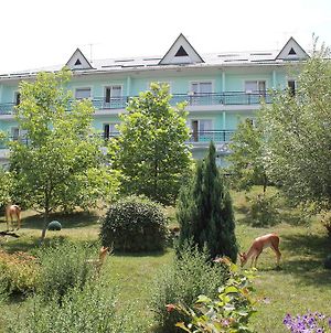 Green Hotel Алмати Exterior photo