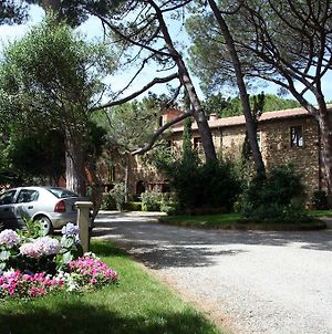 Villa Bolgherello Марина-ді-Біббона Exterior photo