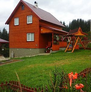 Romashka Guest House Яблуниця Exterior photo