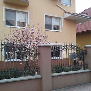 Apartments I & I Берегове Exterior photo