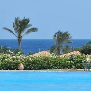 Royal Brayka Beach Resort Абу-Дабаб Exterior photo