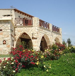 Villa For Rent In Miliou Close To Lachi & Peyia Exterior photo