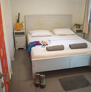 Florentine Backpackers Hostel - Ages 18-55 Тель-Авів Room photo