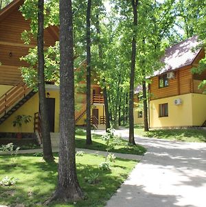 Готель Вілія Ломачинці Exterior photo