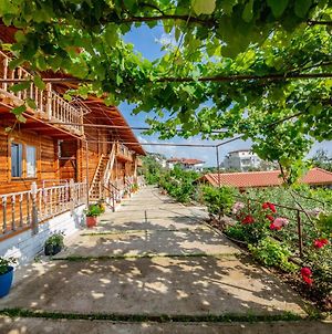 Guest House Luiza Борш Exterior photo